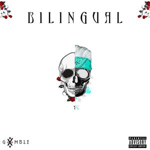 Bilingual (Explicit)