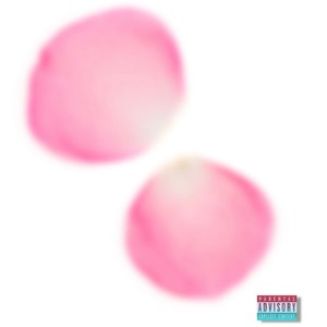 Pink Rose Petals 2 (Explicit)