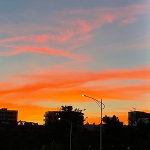 今晚一起归家