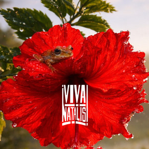VIVA (Explicit)