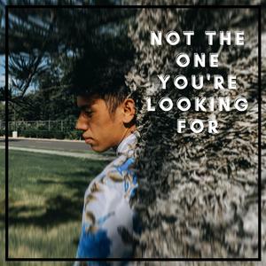 Not The One You're Looking For