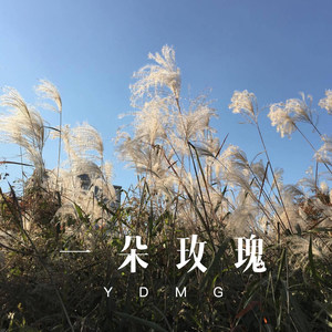 红尘所爱 (Remix)