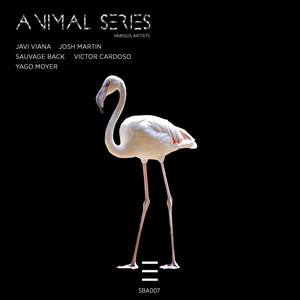 Animals series