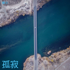 好想你 (吉他版)