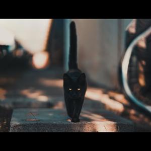 Levy (Isluckbad? remix)