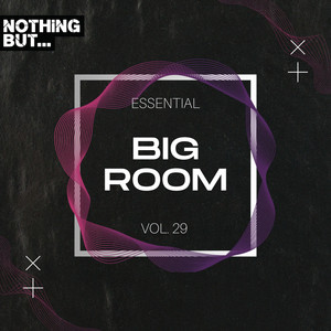 Nothing But... Essential Big Room, Vol. 29 (Explicit)