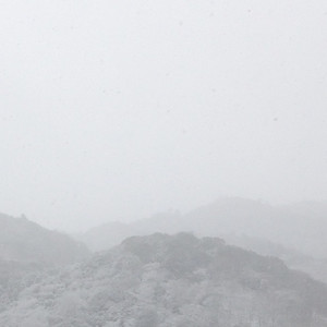 Schönliner (Fletcher Remix)