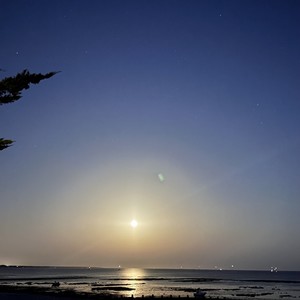 The persistence of memory