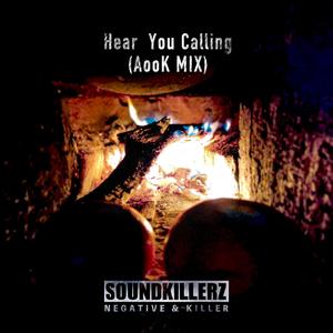 Tolga Diler-I Hear You Calling (AudioHackerZ Remix|AudioHackerZ / Negative remix)