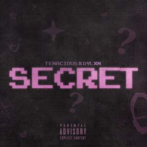 Secret (feat. Tenacious)