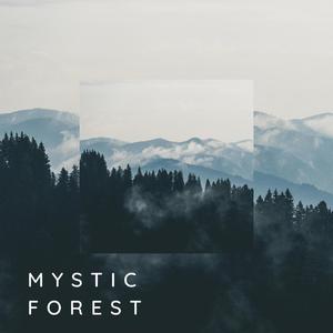 Mystic Forest