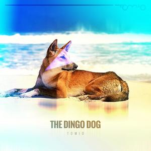 The Dingo Dog