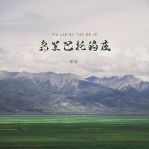 乌兰巴托的夜 (DJ版)封面
