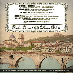 Quartet for Flute and Stings No. 1 in D Major, KV 285 - III. Rondo - Allegretto