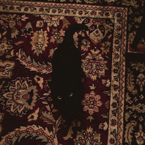 Sweet Tooth (Explicit)