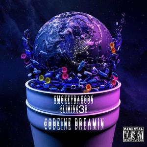 Codeine Dreamin (feat. Sliming3d) [Explicit]