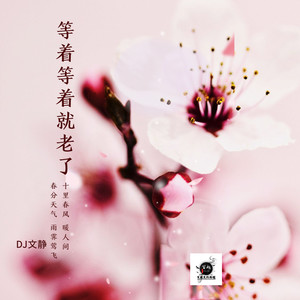 DJ文静 - 对不起我爱你 (Remix)