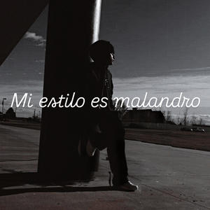 Mi estilo es malandro