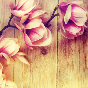 ラブレイン(黄金比)