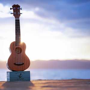 夏天的风 (翻自 温岚)