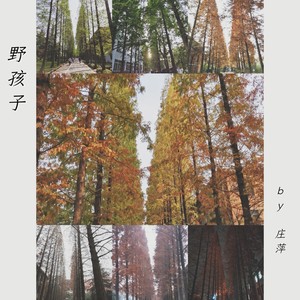 坐在马尔代夫的天籁湖边