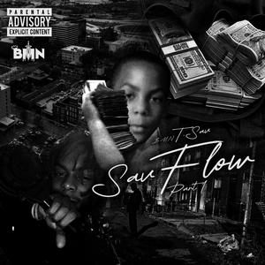 tSav Flow, Pt. 1 (Explicit)