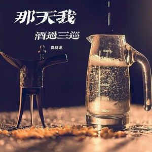 那天我酒过三巡