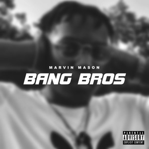 Bang Bros (Explicit)