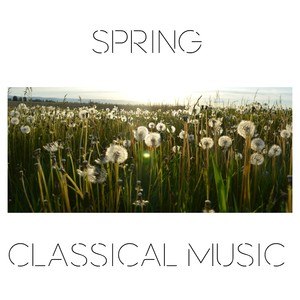 Symphonie concertante pour violon, alto et orchestre in E-Flat Major, K. 364: I. Allegro Maestoso