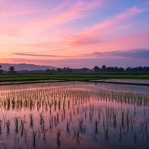 Lonely Valleys by the City