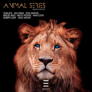 Centella (Original Mix)
