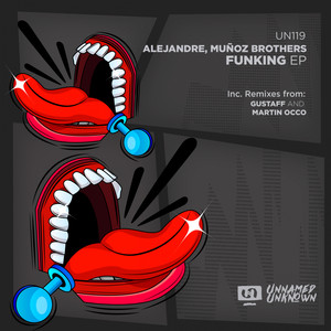 Funking (Original Mix)