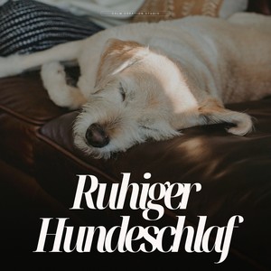 Ruhiger Hundeschlaf