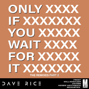 Dave Rice - Only if You Wait for It (Frost Remix)