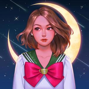 Romance ~ Heartbeats on a Falling Star Night ~