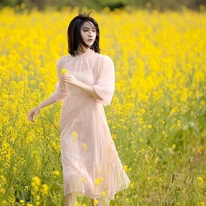 飞鸟与鱼-晴天