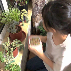 爱的越深越容易被辜负