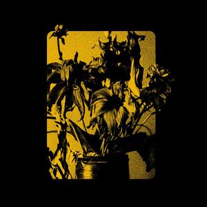 Hear Me (feat. Madz Winter & Sam I Am) (Acoustic)