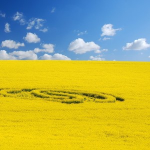 到此为止 - 错季