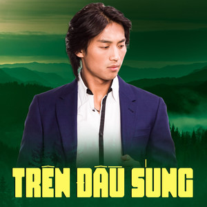 Trên Đầu Súng