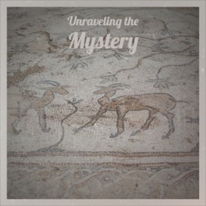 Unraveling the Mystery