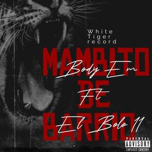 Mambito de Barrio (feat. El bolo 11) [Explicit]