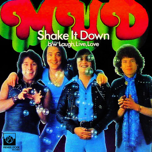 Shake It Down