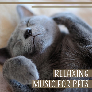 Relaxing Music for Pets – Calming Music for Dogs and Cats, Calm Down Your Animals, Soothing Sounds for Pets, Deep Sleep for Dog and Cat