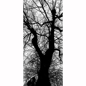 We'll Gather Lilacs in the Spring Again