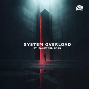 SYSTEM OVERLOAD (Original Mix)