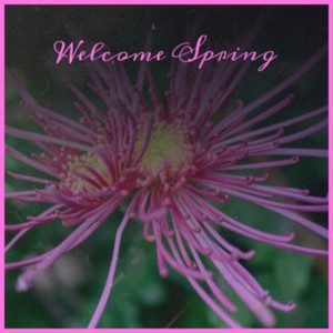 Adrift in Tranquility 20 Min