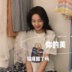 车载低音炮 (DJ版)