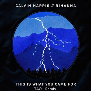 Calvin Harris / Rihanna - This Is What You Came For (TAO Remix)