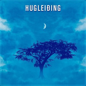 Hugleiðing (feat. Pétur Hrafnsson & Sólveig Guðnadóttir)